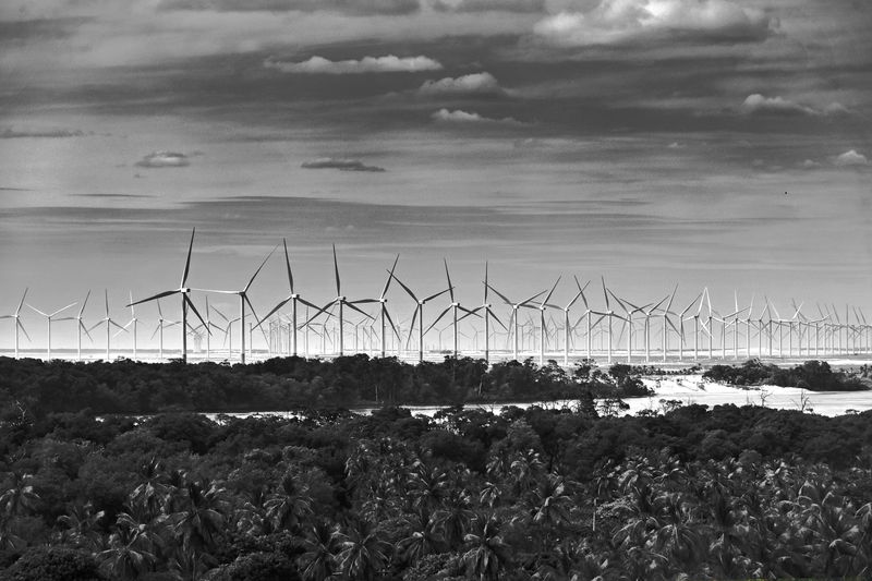 © Sergio Fadul - 15.	Wind as Industry — Maranhão, 2022(Wind farm landscape — Delta do Parnaíba)