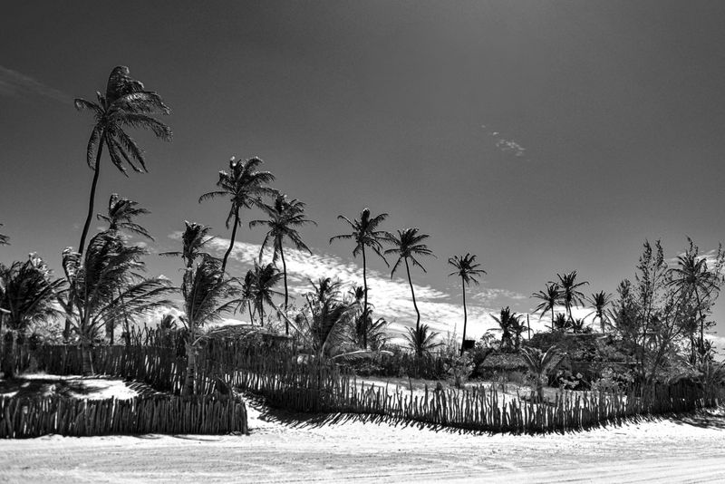 © Sergio Fadul - 11.	Enclosed Shoreline — Ceará, 2026(Fenced plots by the sea — Tatajuba)
