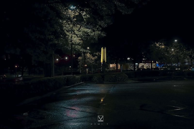 AFTER RAIN