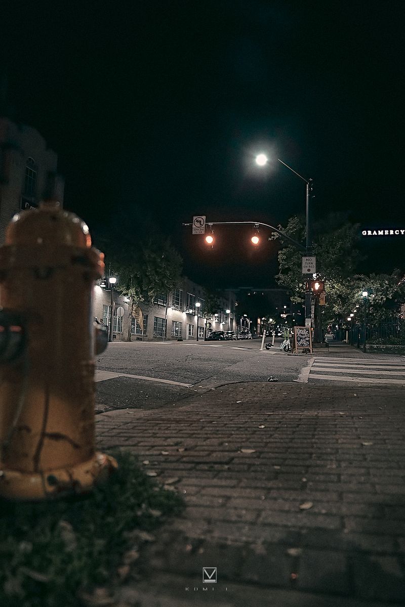 SILENCE OF MIDNIGHT