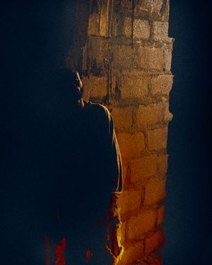 FALLING DREAMS