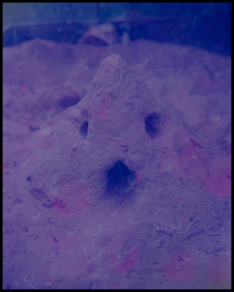 © Ruta Kalmuka - Image from the Duplicates photography project