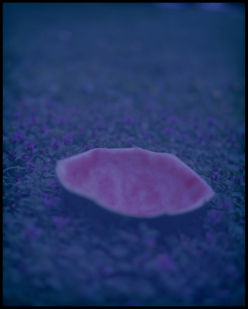 © Ruta Kalmuka - Image from the Duplicates photography project
