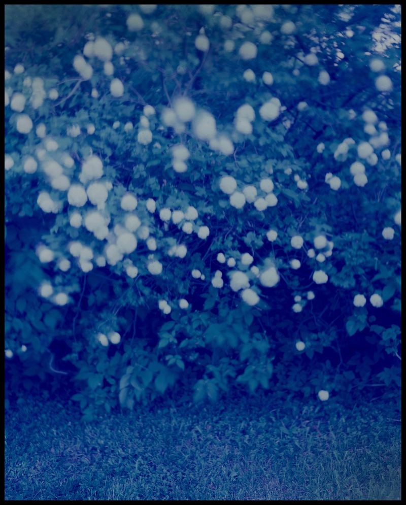 © Ruta Kalmuka - Image from the Duplicates photography project