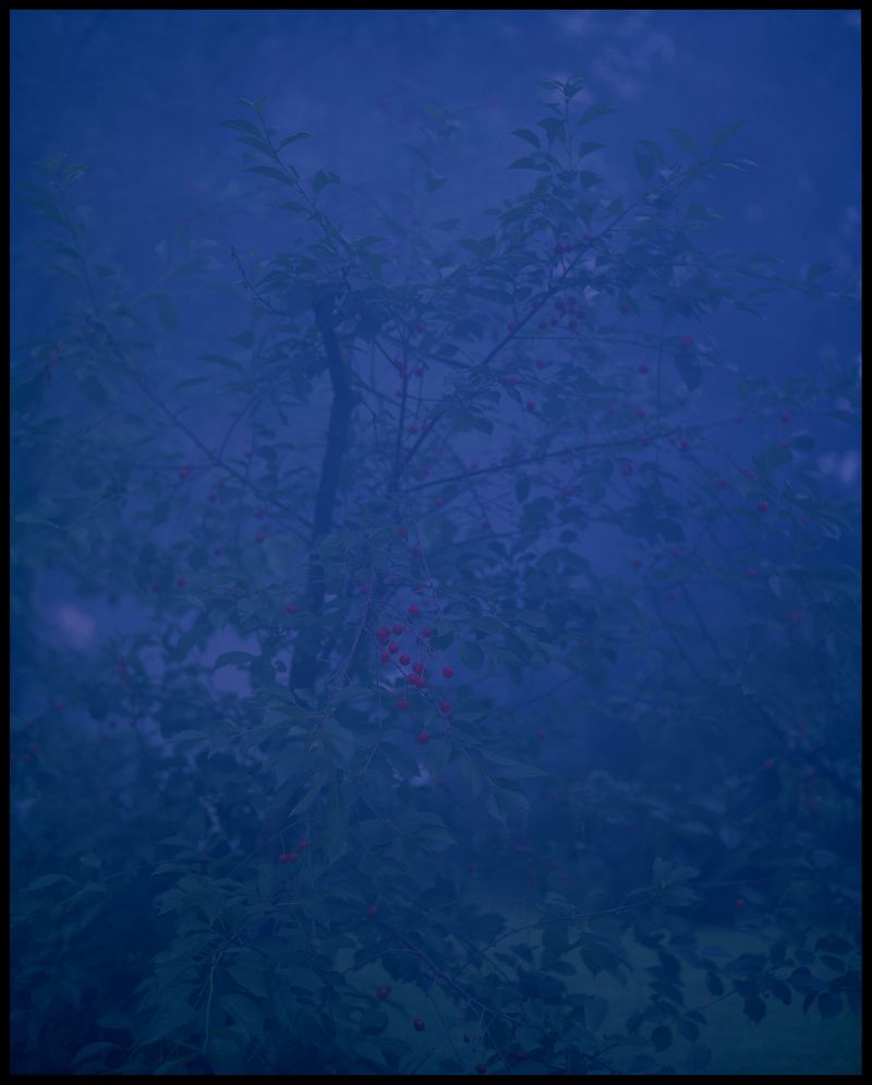 © Ruta Kalmuka - Image from the Duplicates photography project