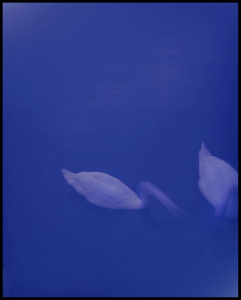 © Ruta Kalmuka - Image from the Duplicates photography project