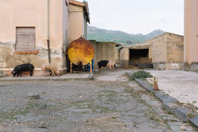 © Fabio Agatino - Image from the Yet Another Day photography project