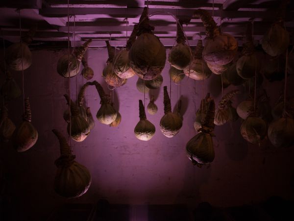 © Mary  Gelman - Image from the Svetlana photography project