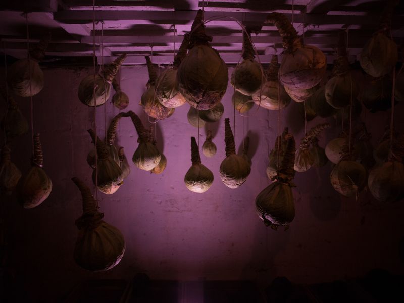 © Mary  Gelman - Image from the Svetlana photography project