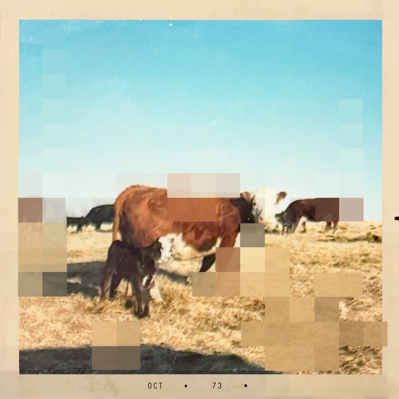 © Epiphany Knedler - Image from the the specifics might be vague photography project