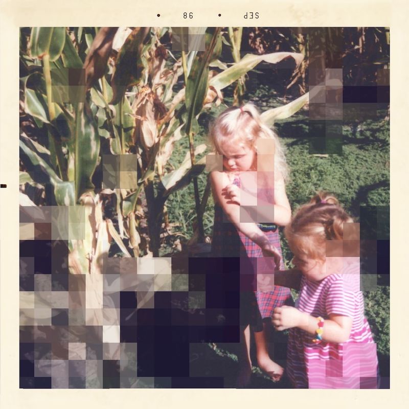 © Epiphany Knedler - Cornfield, 1998