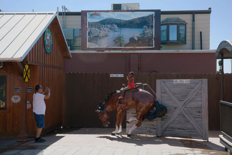 © Epiphany Knedler - Child on Bucking Horse