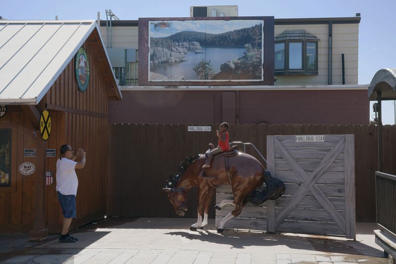 © Epiphany Knedler - Child on Bucking Horse