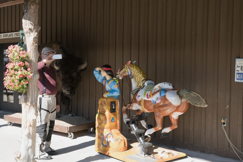 © Epiphany Knedler - Tourist with Animatronic