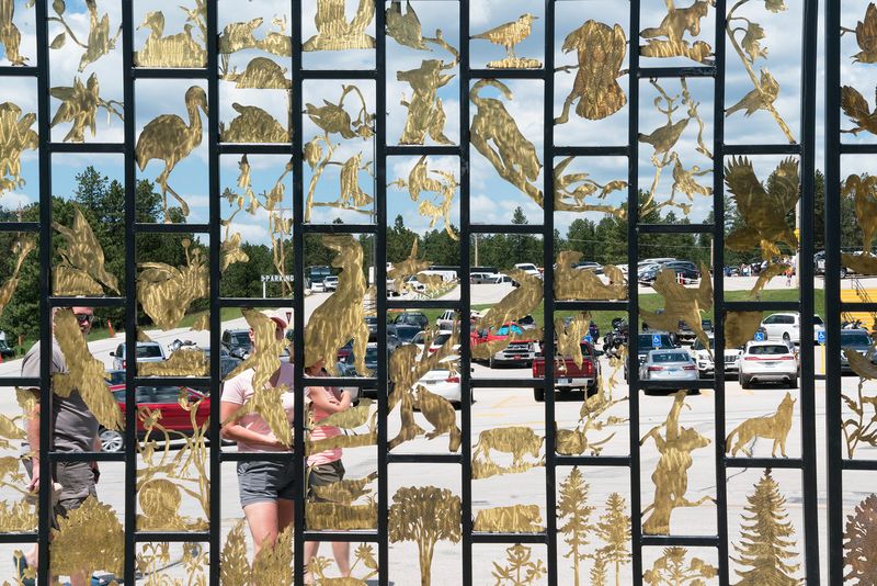 © Epiphany Knedler - Admiring the Animal Gate