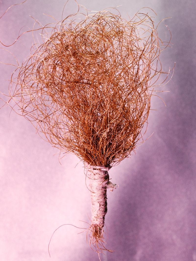 © Caroline Heinecke - © CarolineHeinecke, Masters of Things – Hair