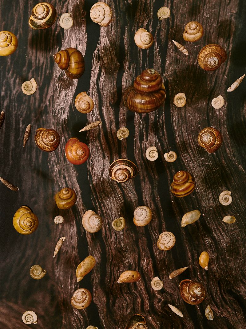 © Caroline Heinecke - Image from the Herr der Dinge (german) Lord of Things (english) photography project