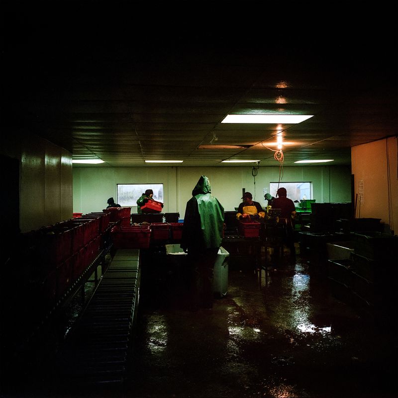 © Aaron Vincent Elkaim - Image from the A State of Erosion photography project