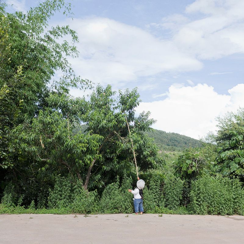 © Clemence de Limburg - Image from the LP photography project