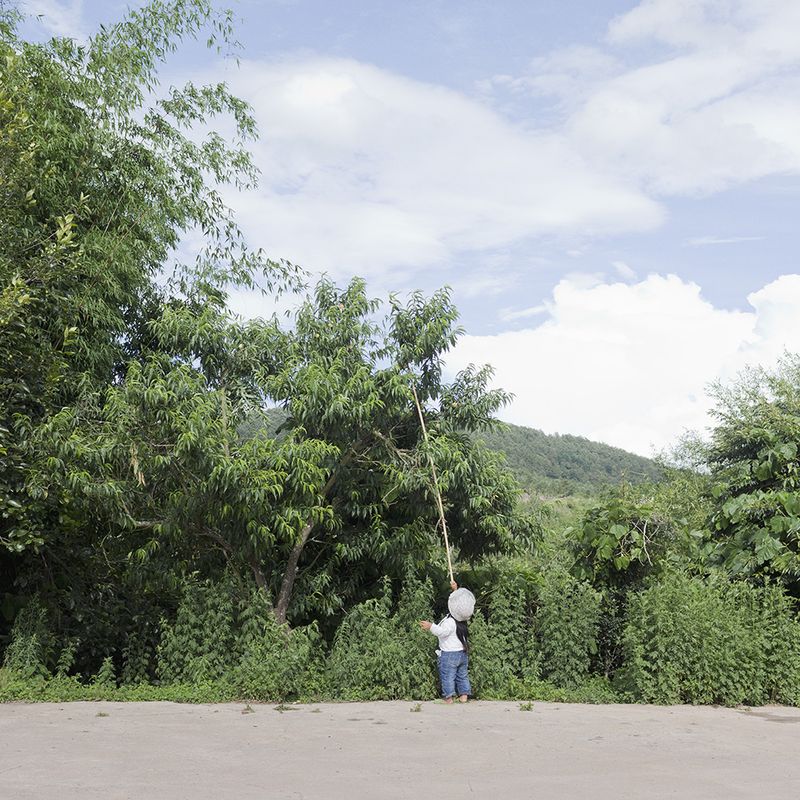 © Clemence de Limburg - Image from the LP photography project