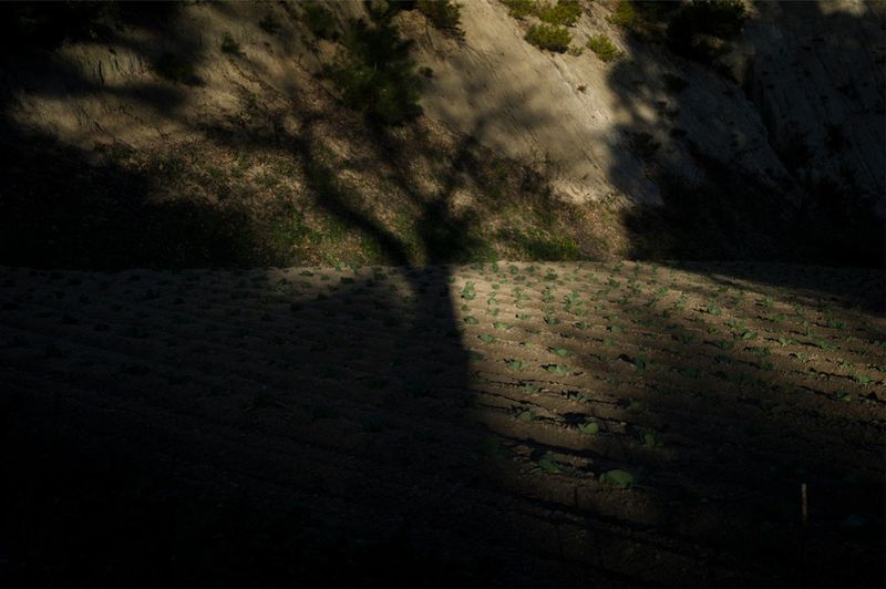 © Soichiro Koriyama - Image from the Fukushima “Black rain” photography project