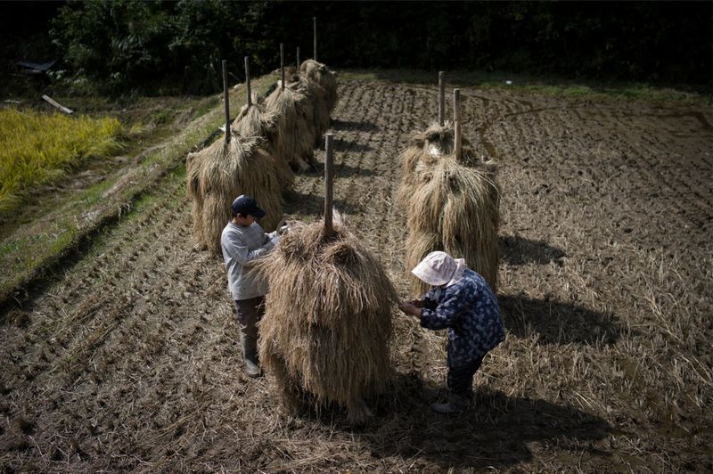 © Soichiro Koriyama - Image from the Fukushima “Black rain” photography project