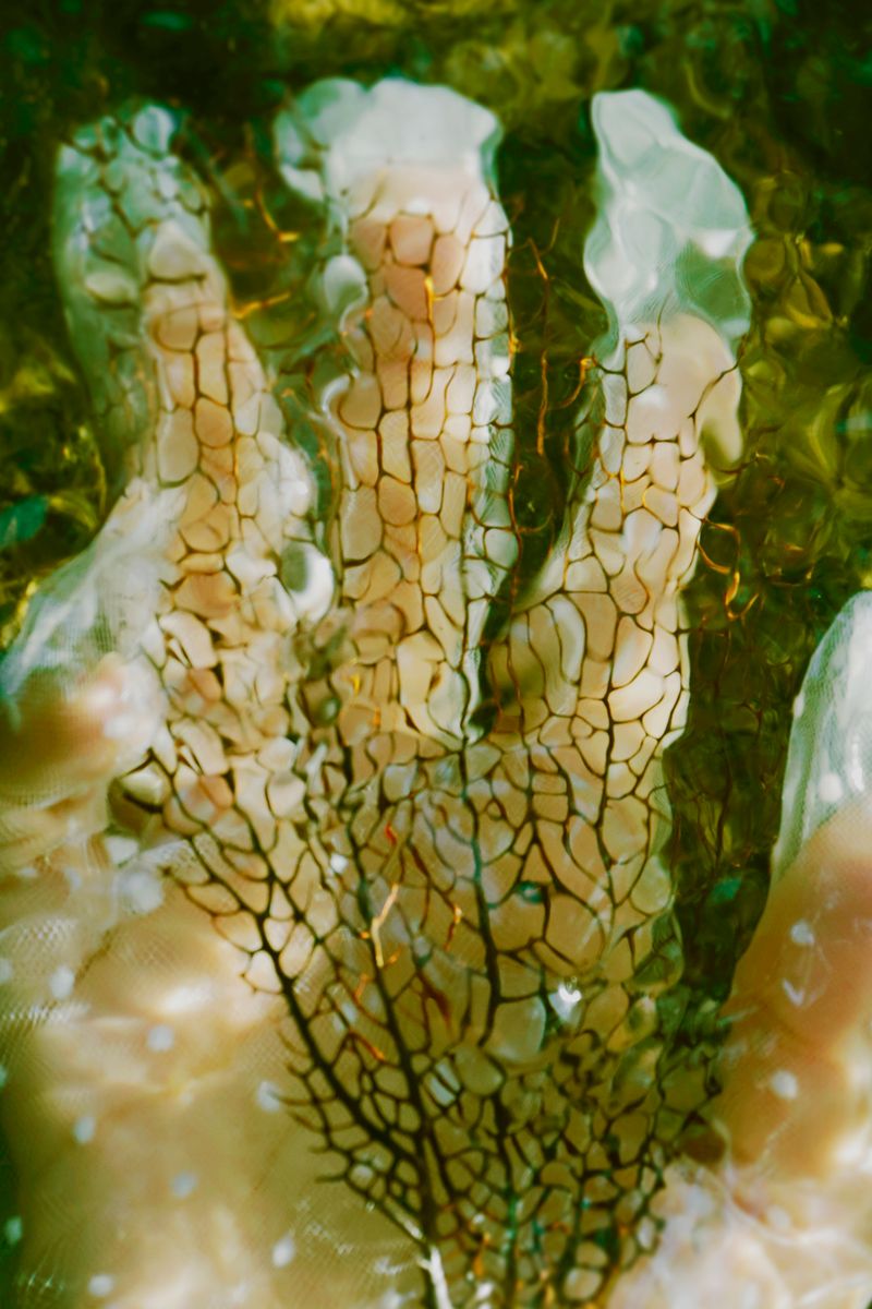 © Nasrah Omar - Image from the Phantasms of the Blue Sky photography project