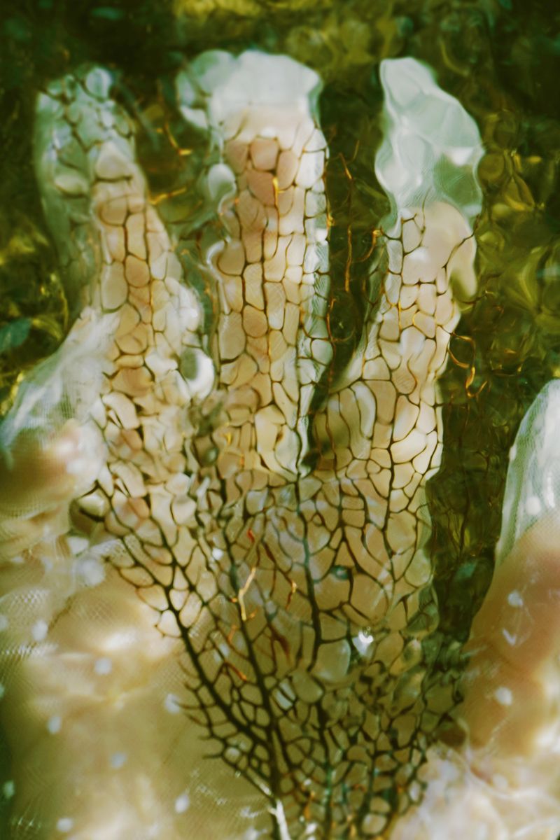 © Nasrah Omar - Image from the Phantasms of the Blue Sky photography project