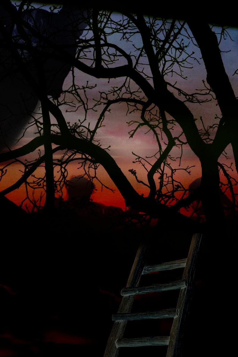 © Nasrah Omar - Image from the Phantasms of the Blue Sky photography project