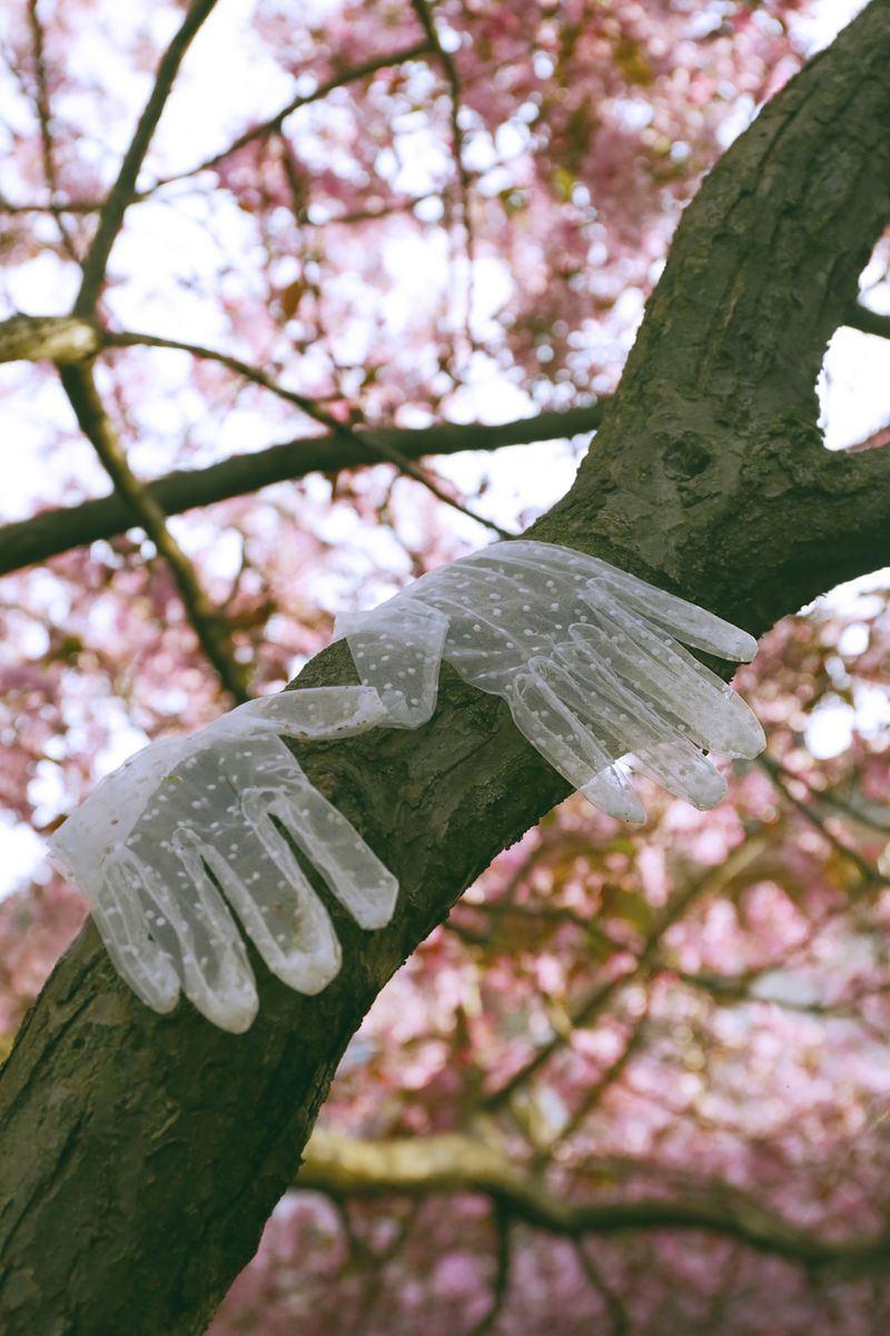 © Nasrah Omar - Isha's Dream Enveloping