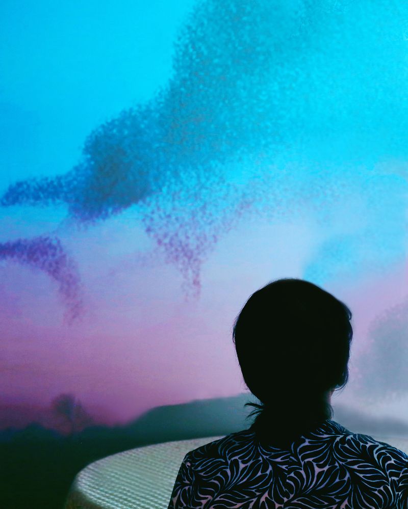 © Nasrah Omar - Murmuration Of Memories