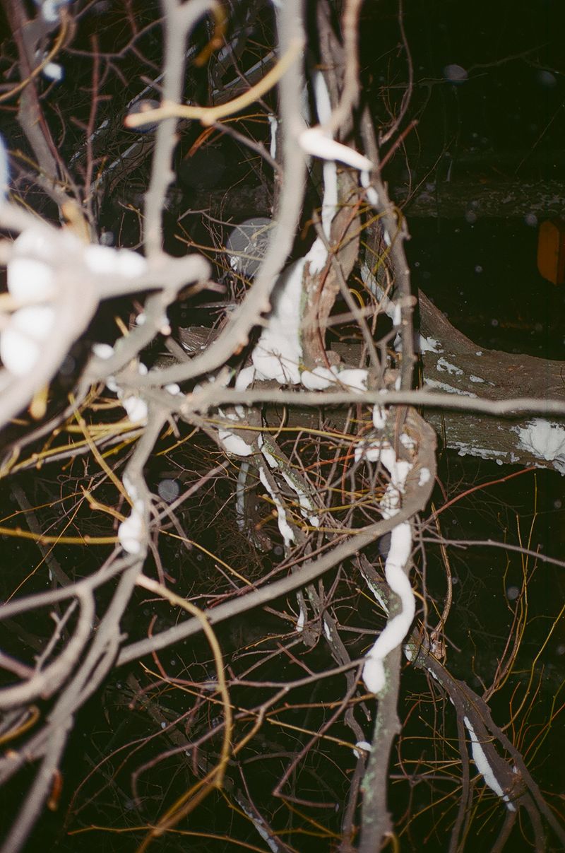 © Ekaterina Anokhina - Image from the 25 weeks of winter photography project