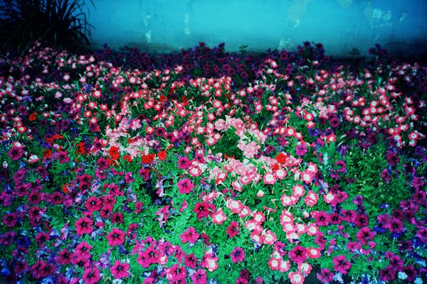 © Ekaterina Anokhina - Image from the 25 weeks of winter photography project