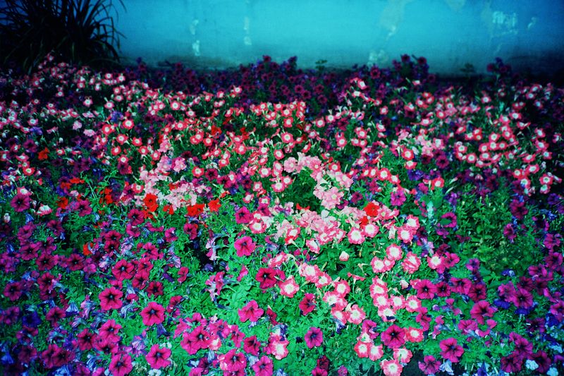 © Ekaterina Anokhina - Image from the 25 weeks of winter photography project