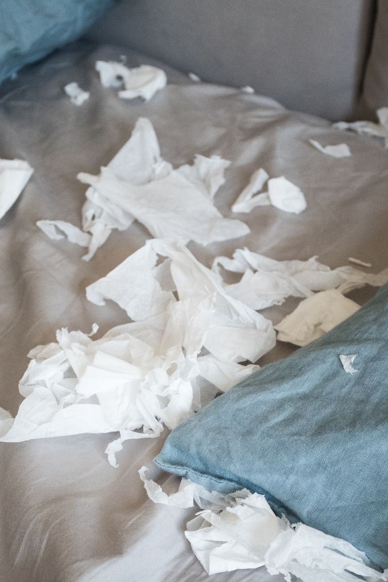 © Francesca Cirilli - Morning (Paper)