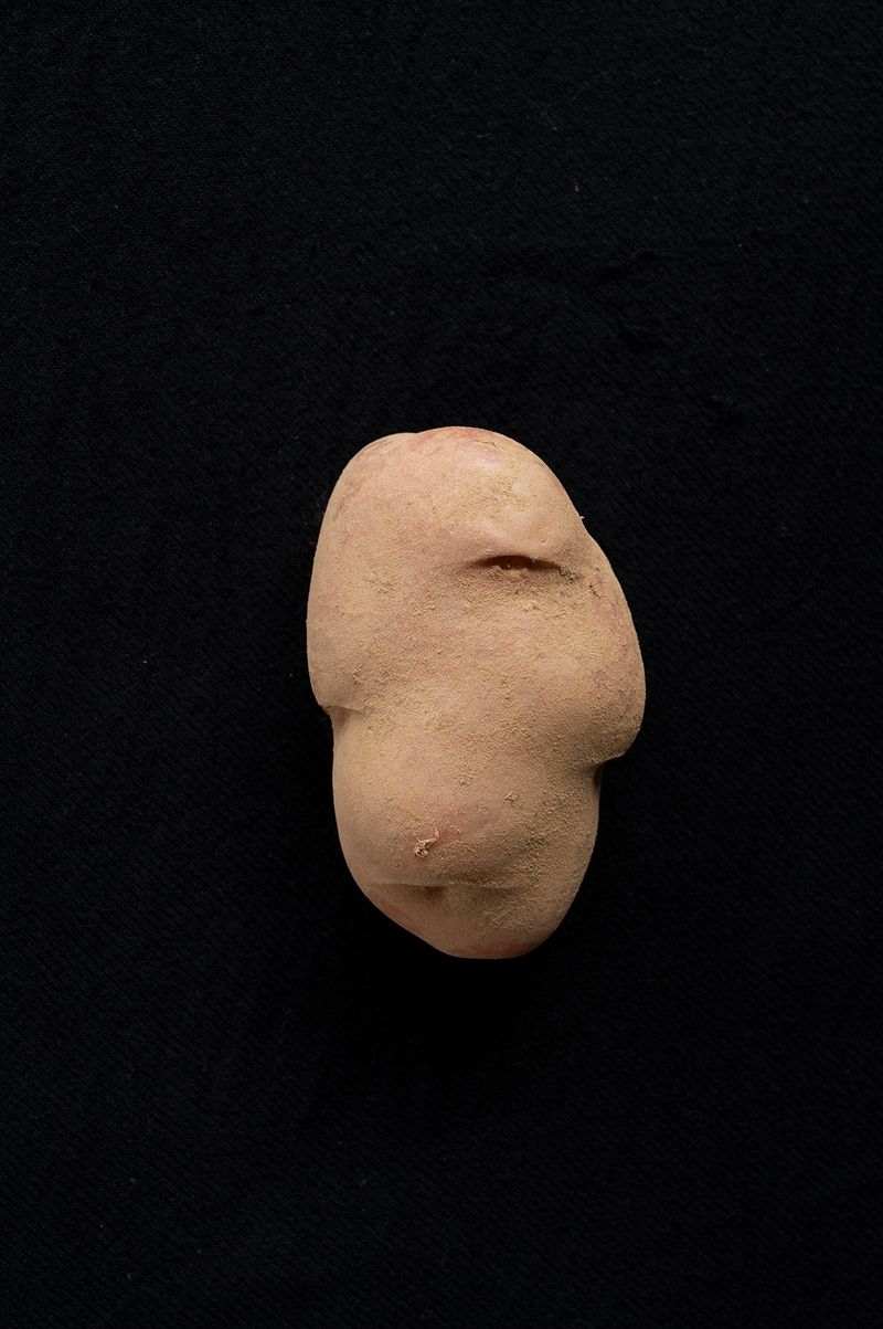 © Francesca Cirilli - Image from the PREGNANT WITH ALL THE SEASONS [Gravida di tutte le stagioni] photography project