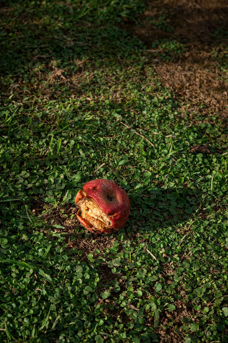 © Francesca Cirilli - Image from the PREGNANT WITH ALL THE SEASONS [Gravida di tutte le stagioni] photography project