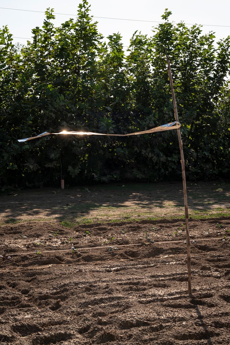 © Francesca Cirilli - Image from the PREGNANT WITH ALL THE SEASONS [Gravida di tutte le stagioni] photography project