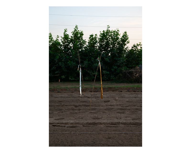 © Francesca Cirilli - Image from the Pregnant with all the seasons photography project