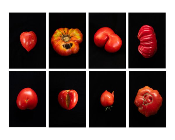 © Francesca Cirilli - Image from the Pregnant with all the seasons photography project