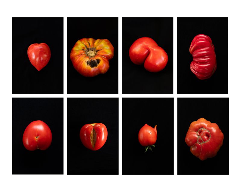 © Francesca Cirilli - Image from the Pregnant with all the seasons photography project