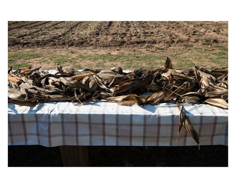 © Francesca Cirilli - Image from the Pregnant with all the seasons photography project