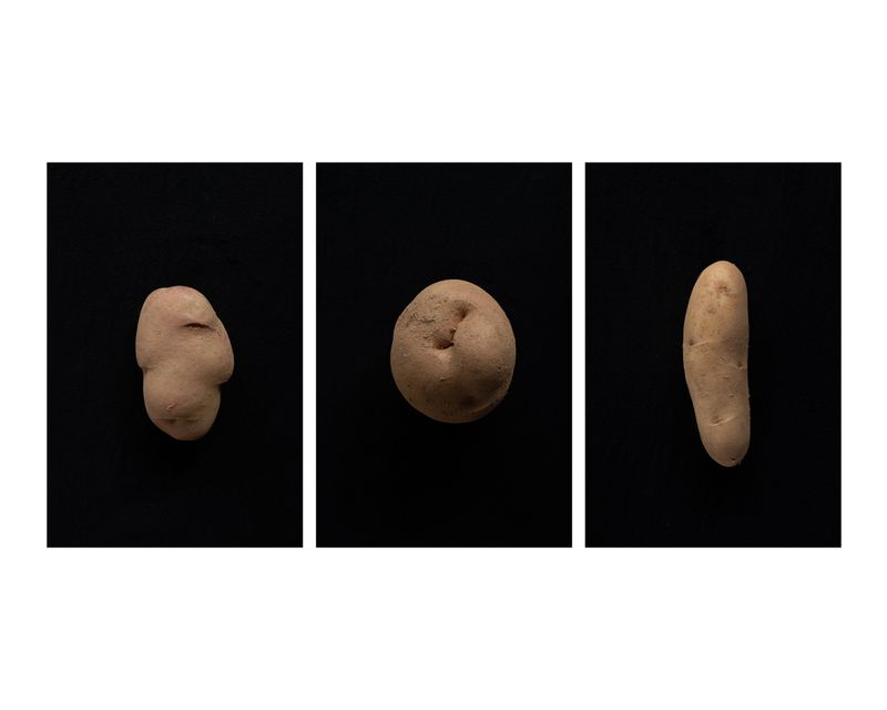 © Francesca Cirilli - Image from the Pregnant with all the seasons photography project