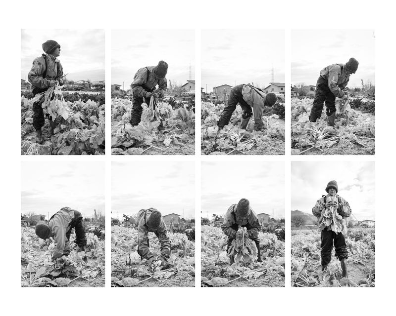 © Francesca Cirilli - Image from the Pregnant with all the seasons photography project