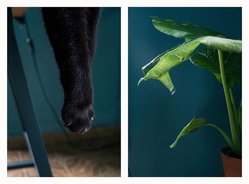 © Francesca Cirilli - Image from the CHECK IN' photography project