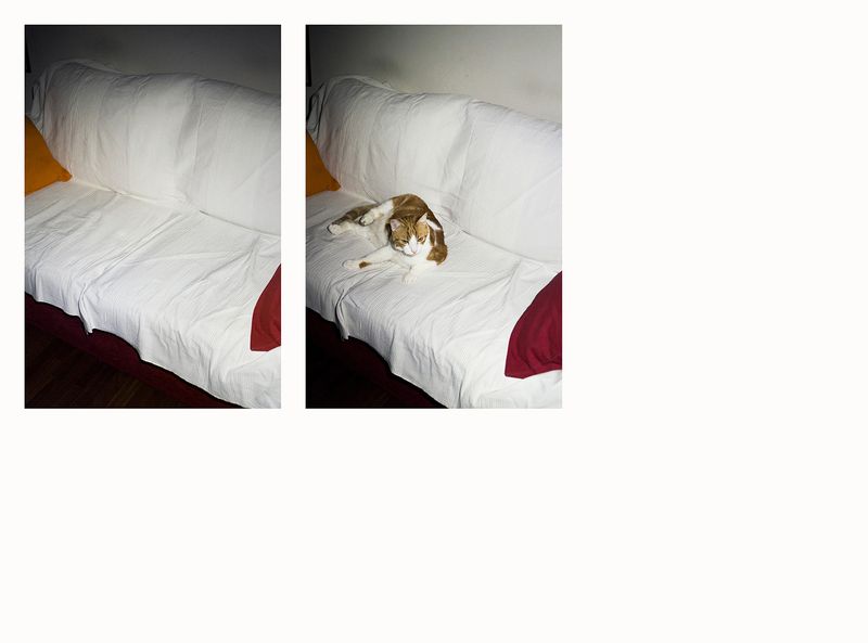 © Francesca Cirilli - Image from the CHECK IN' photography project