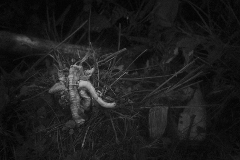 © Fyodor Telkov - Image from the Ural Mari photography project