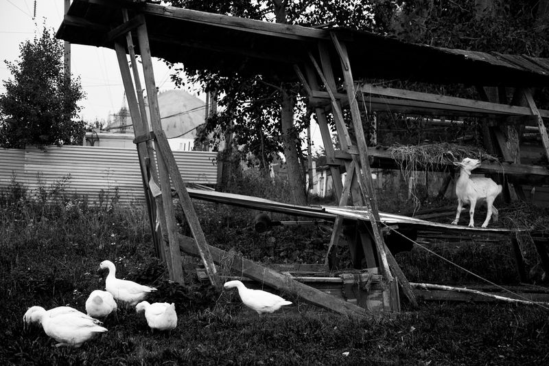 © Fyodor Telkov - Image from the 36 Views photography project