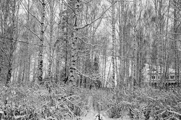 © Fyodor Telkov - Image from the 36 Views photography project