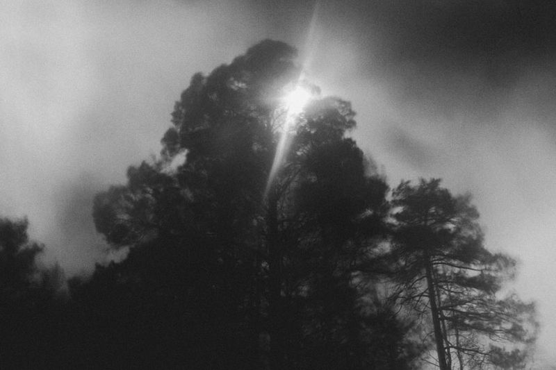 © Fyodor Telkov - Image from the Tales photography project